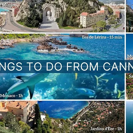 Daire Heart Of Amazing Design Croisette Location Seller By Oiam *